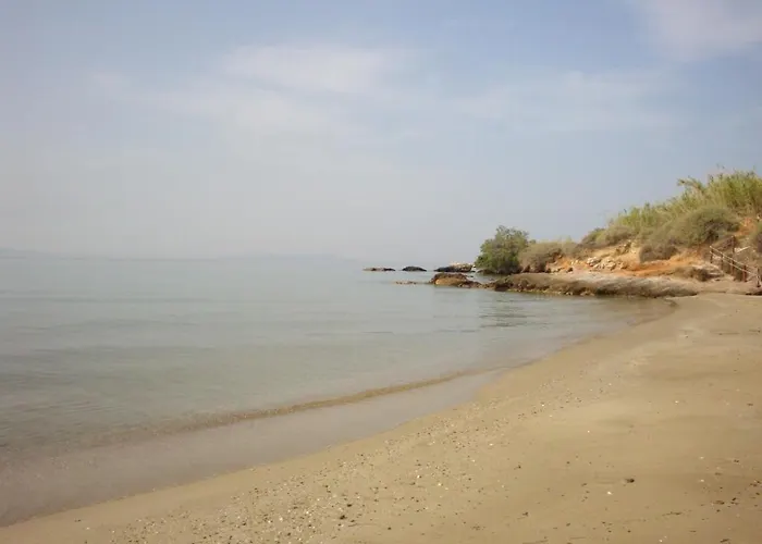 Blue & Sea Apartament *